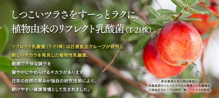 アレルライトハイパー成分
